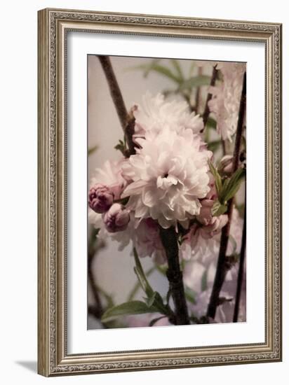Blossoming Almond 2-Julie Greenwood-Framed Art Print
