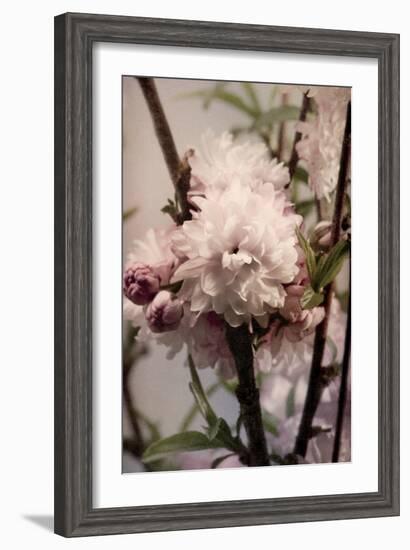 Blossoming Almond 2-Julie Greenwood-Framed Art Print