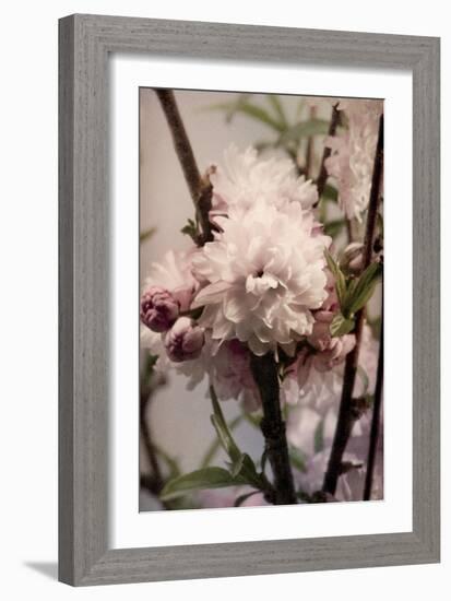 Blossoming Almond 2-Julie Greenwood-Framed Art Print