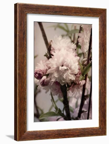 Blossoming Almond 2-Julie Greenwood-Framed Art Print