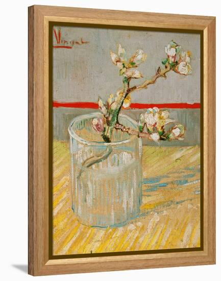 Blossoming Almond Branch in a Glass, c.1888-Vincent van Gogh-Framed Premier Image Canvas