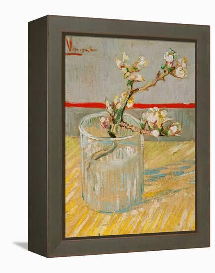 Blossoming Almond Branch in a Glass, c.1888-Vincent van Gogh-Framed Premier Image Canvas