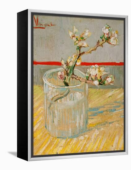 Blossoming Almond Branch in a Glass, c.1888-Vincent van Gogh-Framed Premier Image Canvas