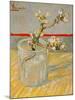 Blossoming Almond Branch in a Glass, c.1888-Vincent van Gogh-Mounted Giclee Print