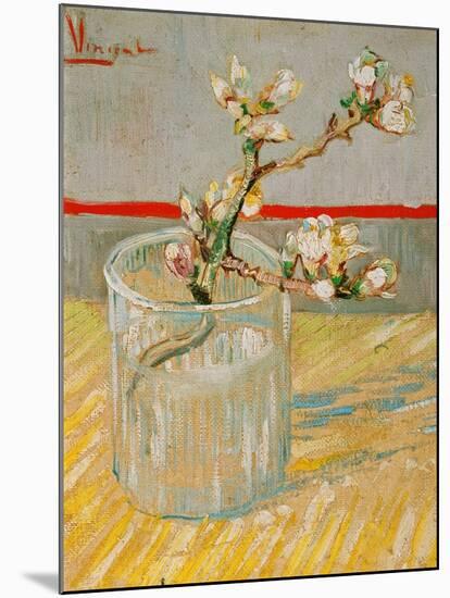 Blossoming Almond Branch in a Glass, c.1888-Vincent van Gogh-Mounted Giclee Print