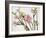 Blossoming Cherry Branches-C. Nidhoff-Lang-Framed Photographic Print