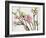 Blossoming Cherry Branches-C. Nidhoff-Lang-Framed Photographic Print