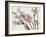 Blossoming Cherry Branches-C. Nidhoff-Lang-Framed Photographic Print