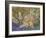 Blossoming Chestnut Branches, 1890-Vincent van Gogh-Framed Giclee Print