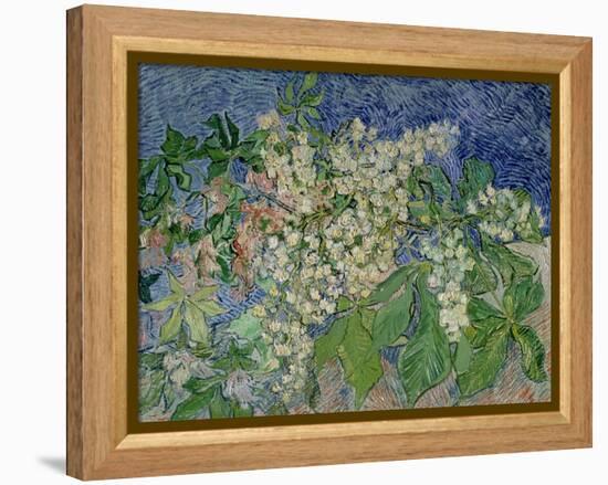 Blossoming Chestnut Branches, c.1890-Vincent van Gogh-Framed Premier Image Canvas