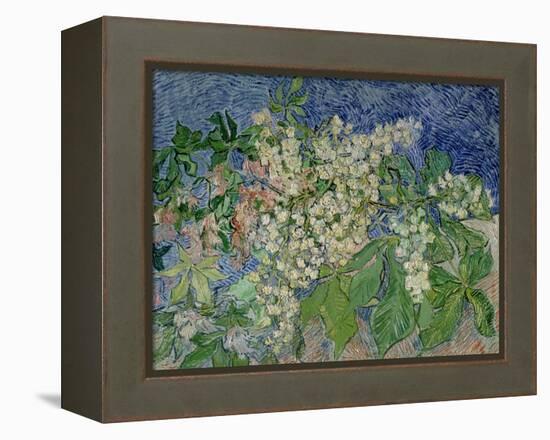 Blossoming Chestnut Branches, c.1890-Vincent van Gogh-Framed Premier Image Canvas