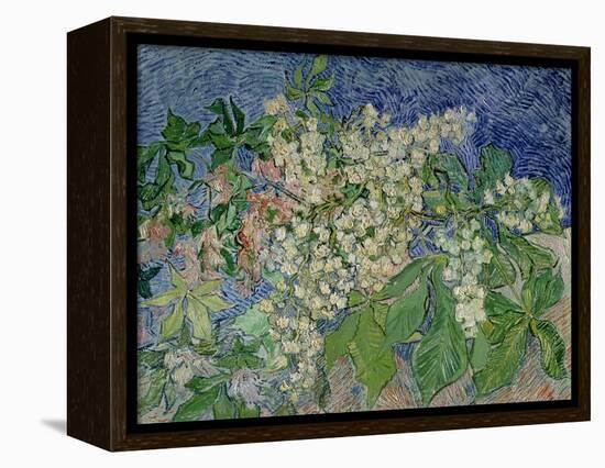 Blossoming Chestnut Branches, c.1890-Vincent van Gogh-Framed Premier Image Canvas