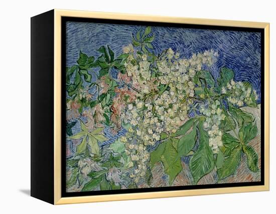 Blossoming Chestnut Branches, c.1890-Vincent van Gogh-Framed Premier Image Canvas