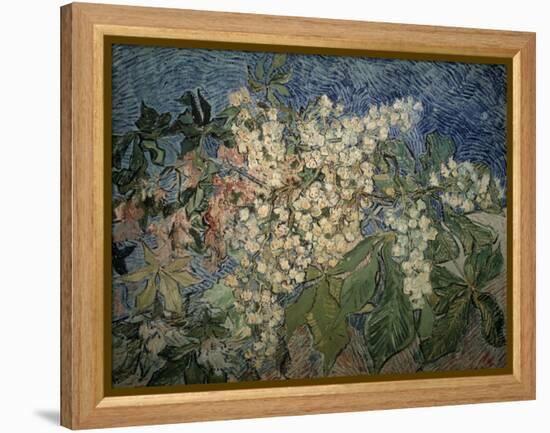 Blossoming Chestnut Branches-Vincent van Gogh-Framed Premier Image Canvas
