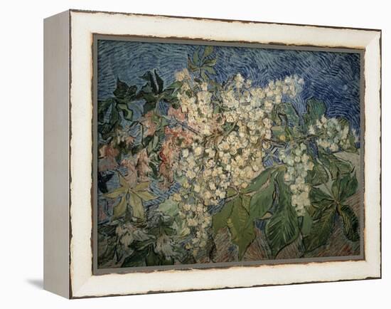 Blossoming Chestnut Branches-Vincent van Gogh-Framed Premier Image Canvas