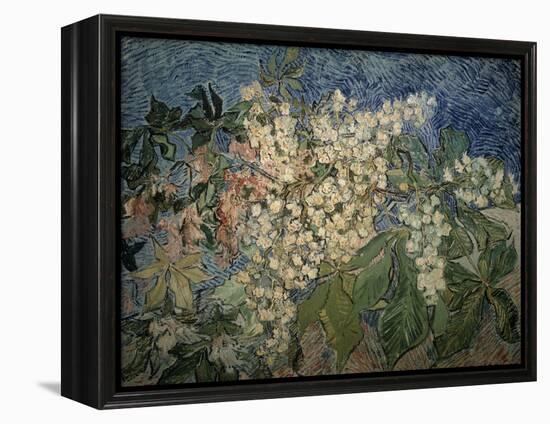 Blossoming Chestnut Branches-Vincent van Gogh-Framed Premier Image Canvas