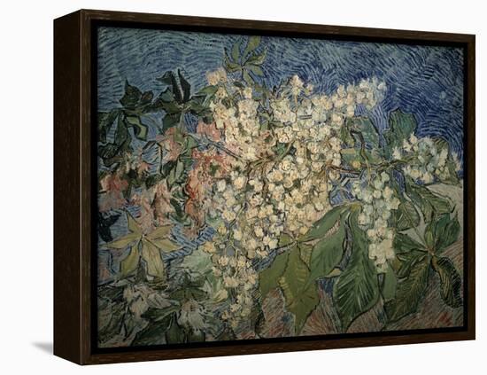 Blossoming Chestnut Branches-Vincent van Gogh-Framed Premier Image Canvas