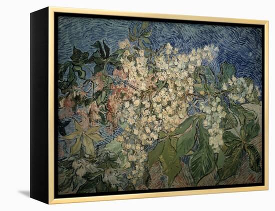 Blossoming Chestnut Branches-Vincent van Gogh-Framed Premier Image Canvas