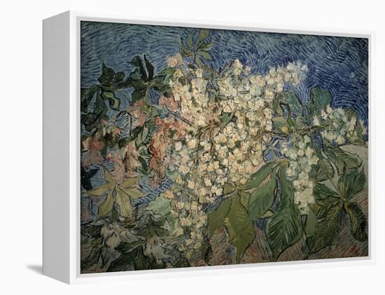 Blossoming Chestnut Branches-Vincent van Gogh-Framed Premier Image Canvas