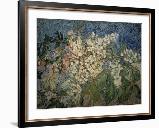 Blossoming Chestnut Branches-Vincent van Gogh-Framed Giclee Print