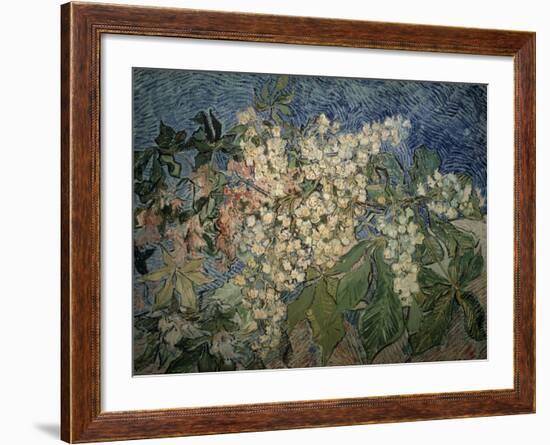 Blossoming Chestnut Branches-Vincent van Gogh-Framed Giclee Print