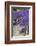 Blossoming Jacaranda Trees-Neil Farrin-Framed Photographic Print