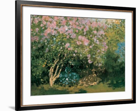 Blossoming Lilac in the Sun, c.1873-Claude Monet-Framed Art Print