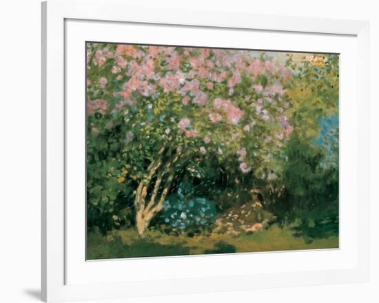 Blossoming Lilac in the Sun, c.1873-Claude Monet-Framed Art Print