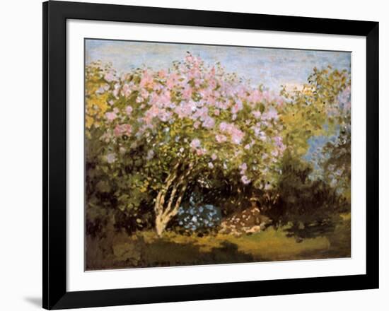 Blossoming Lilac in the Sun, c.1873-Claude Monet-Framed Art Print