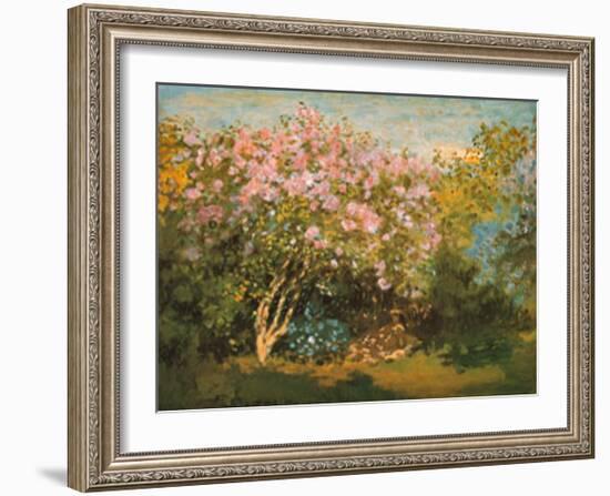 Blossoming Lilac in the Sun, c.1873-Claude Monet-Framed Art Print