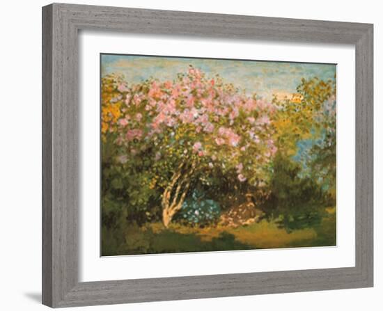 Blossoming Lilac in the Sun, c.1873-Claude Monet-Framed Art Print