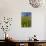 Blossoming Meadow, Spring, Tree, Blue Sky, Dandelion-Jurgen Ulmer-Photographic Print displayed on a wall