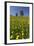 Blossoming Meadow, Spring, Tree, Blue Sky, Dandelion-Jurgen Ulmer-Framed Photographic Print