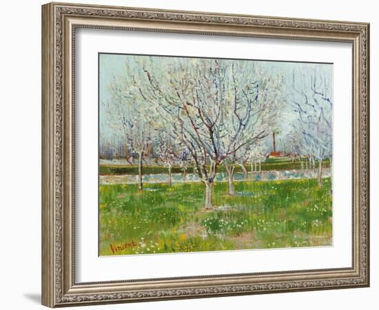 Blossoming Orchard, 1888-Vincent van Gogh-Framed Giclee Print