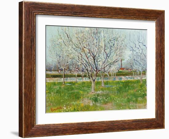 Blossoming Orchard, 1888-Vincent van Gogh-Framed Giclee Print