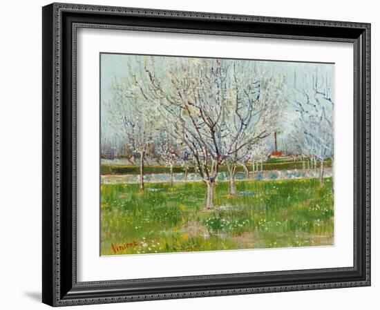 Blossoming Orchard, 1888-Vincent van Gogh-Framed Giclee Print