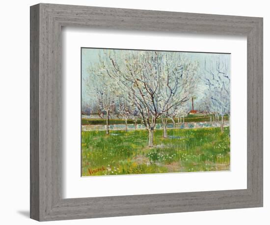 Blossoming Orchard, 1888-Vincent van Gogh-Framed Giclee Print