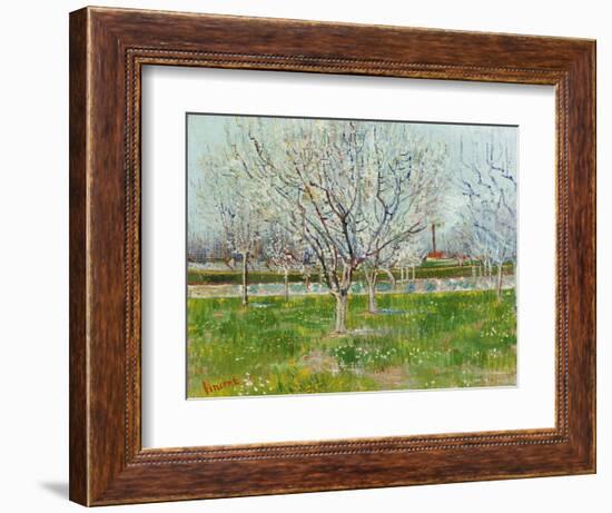 Blossoming Orchard, 1888-Vincent van Gogh-Framed Giclee Print