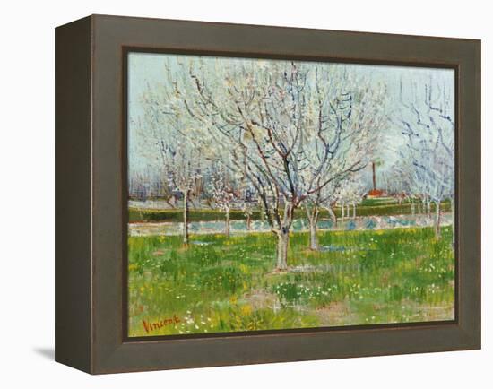 Blossoming Orchard, 1888-Vincent van Gogh-Framed Premier Image Canvas