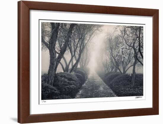 Blossoming Path-Donald Satterlee-Framed Giclee Print