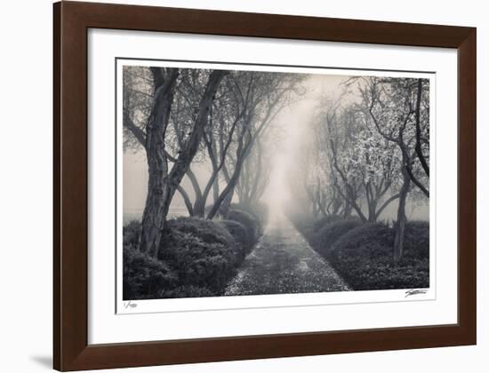 Blossoming Path-Donald Satterlee-Framed Giclee Print