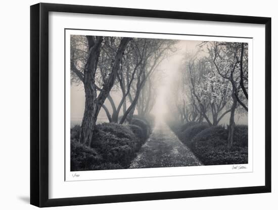 Blossoming Path-Donald Satterlee-Framed Limited Edition