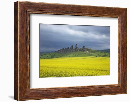 Blossoming Rape Field, Sandstone Formation of the Teufelsmauer-Uwe Steffens-Framed Photographic Print