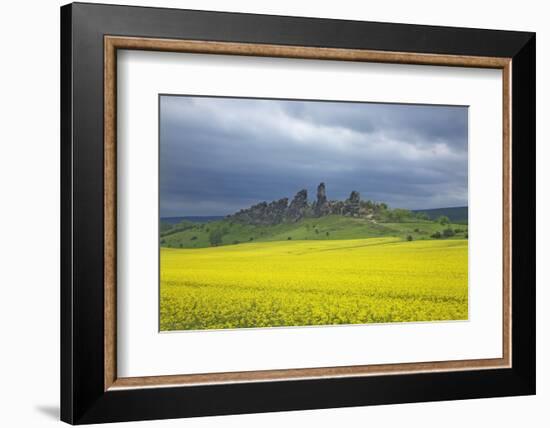 Blossoming Rape Field, Sandstone Formation of the Teufelsmauer-Uwe Steffens-Framed Photographic Print