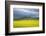 Blossoming Rape Field, Sandstone Formation of the Teufelsmauer-Uwe Steffens-Framed Photographic Print