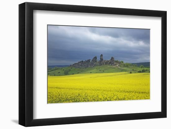 Blossoming Rape Field, Sandstone Formation of the Teufelsmauer-Uwe Steffens-Framed Photographic Print