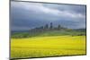 Blossoming Rape Field, Sandstone Formation of the Teufelsmauer-Uwe Steffens-Mounted Photographic Print