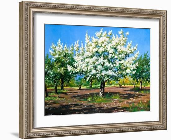 Blossoming, Spring Garden-balaikin2009-Framed Art Print