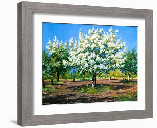 Blossoming, Spring Garden-balaikin2009-Framed Art Print