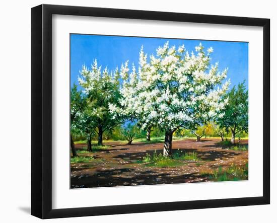 Blossoming, Spring Garden-balaikin2009-Framed Art Print